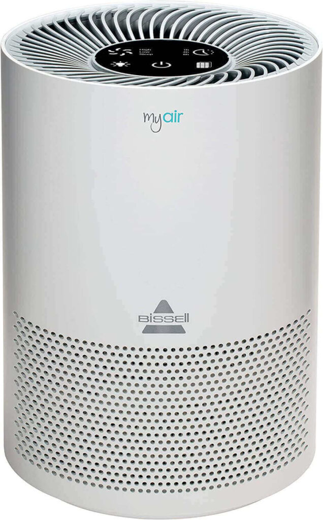 best air purifier for mold